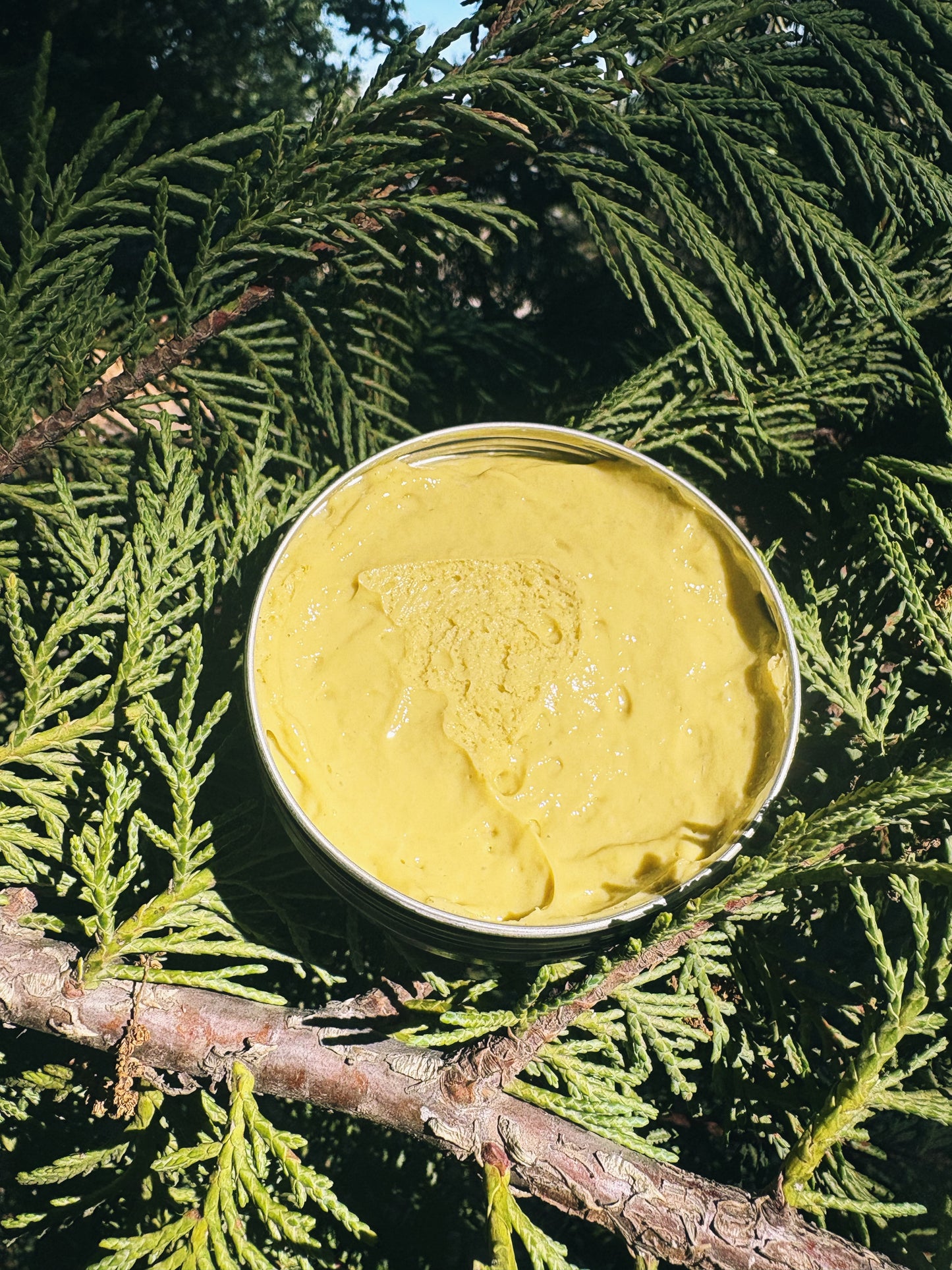 Soothing Forest Magnesium Lotion