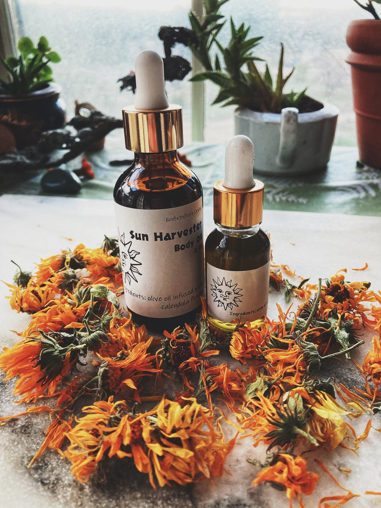 Sun Harvester Body Oil