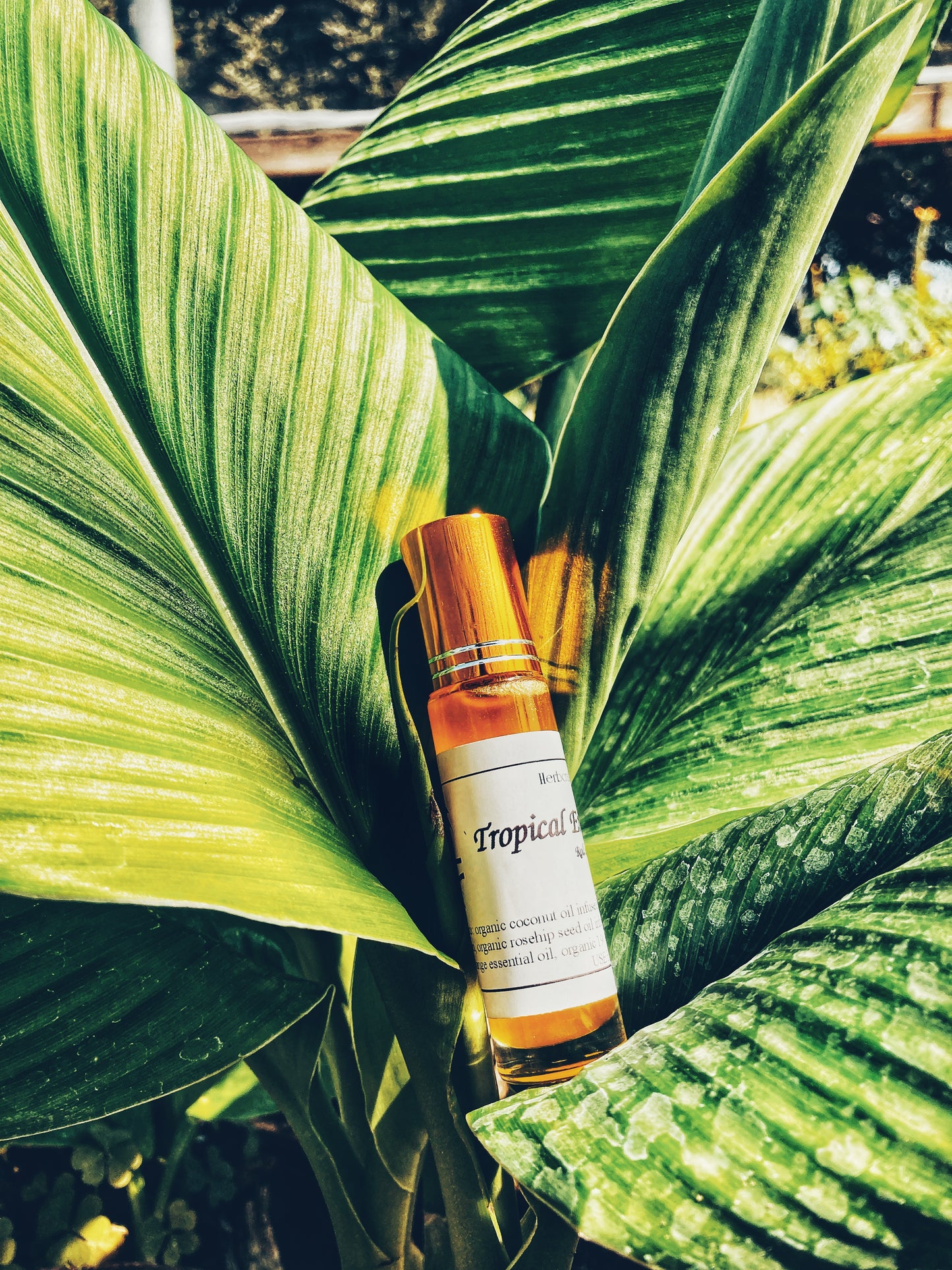 Tropical Embrace Roll on Oil Perfume