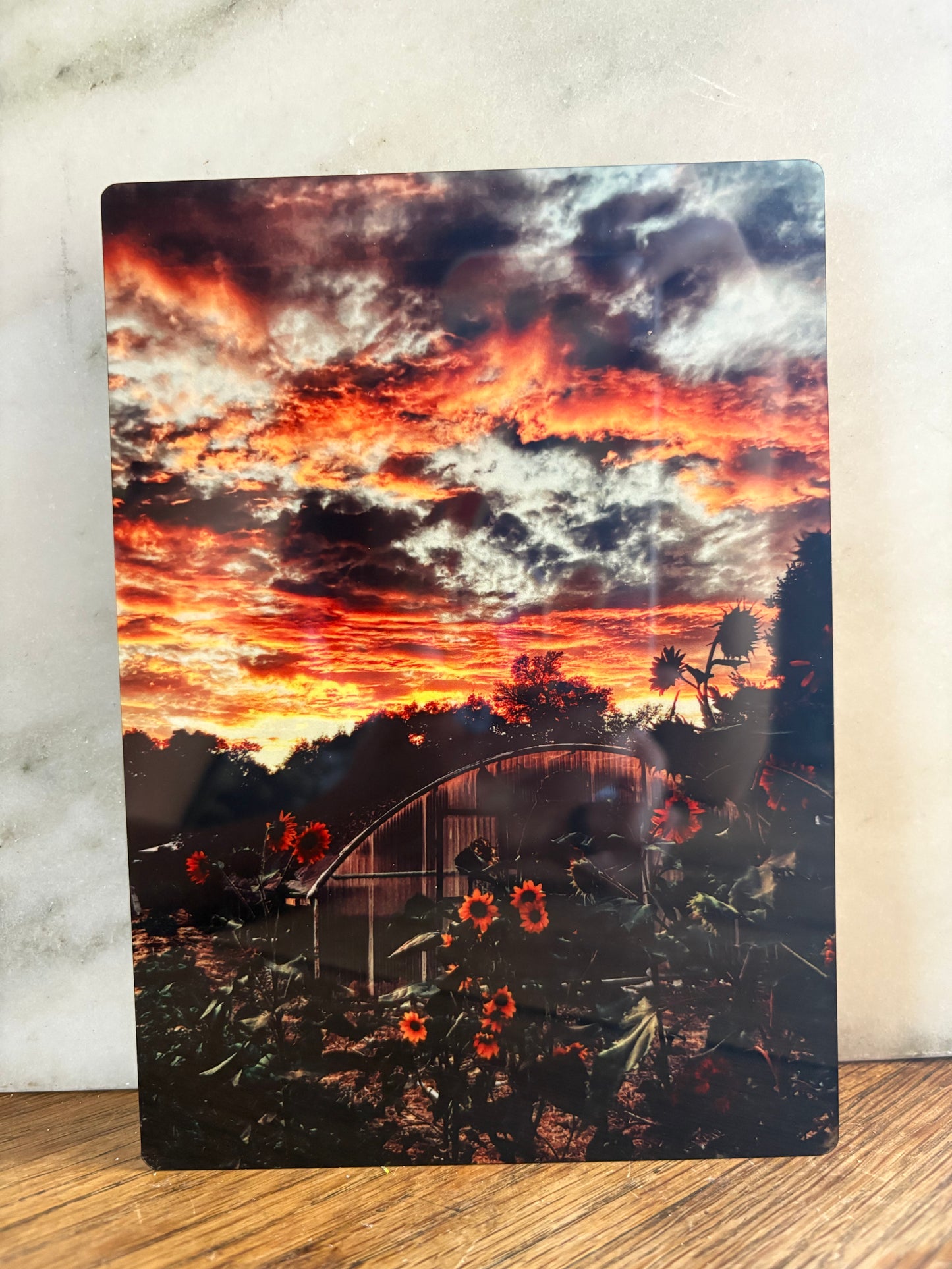 Sunset Sunflowers 5x7 Aluminum Panel Print