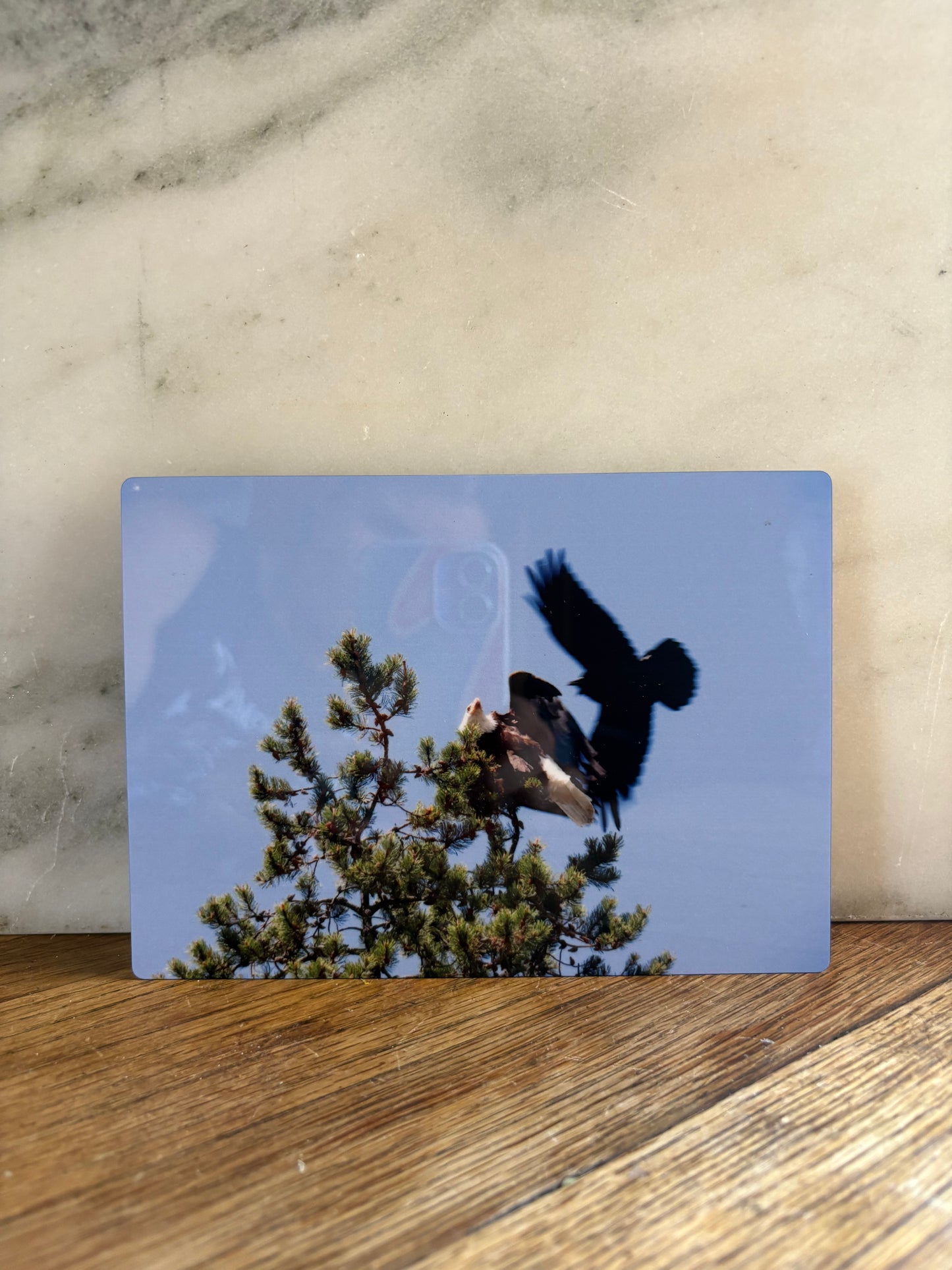 Disturbance 5x7 Aluminum Panel Print