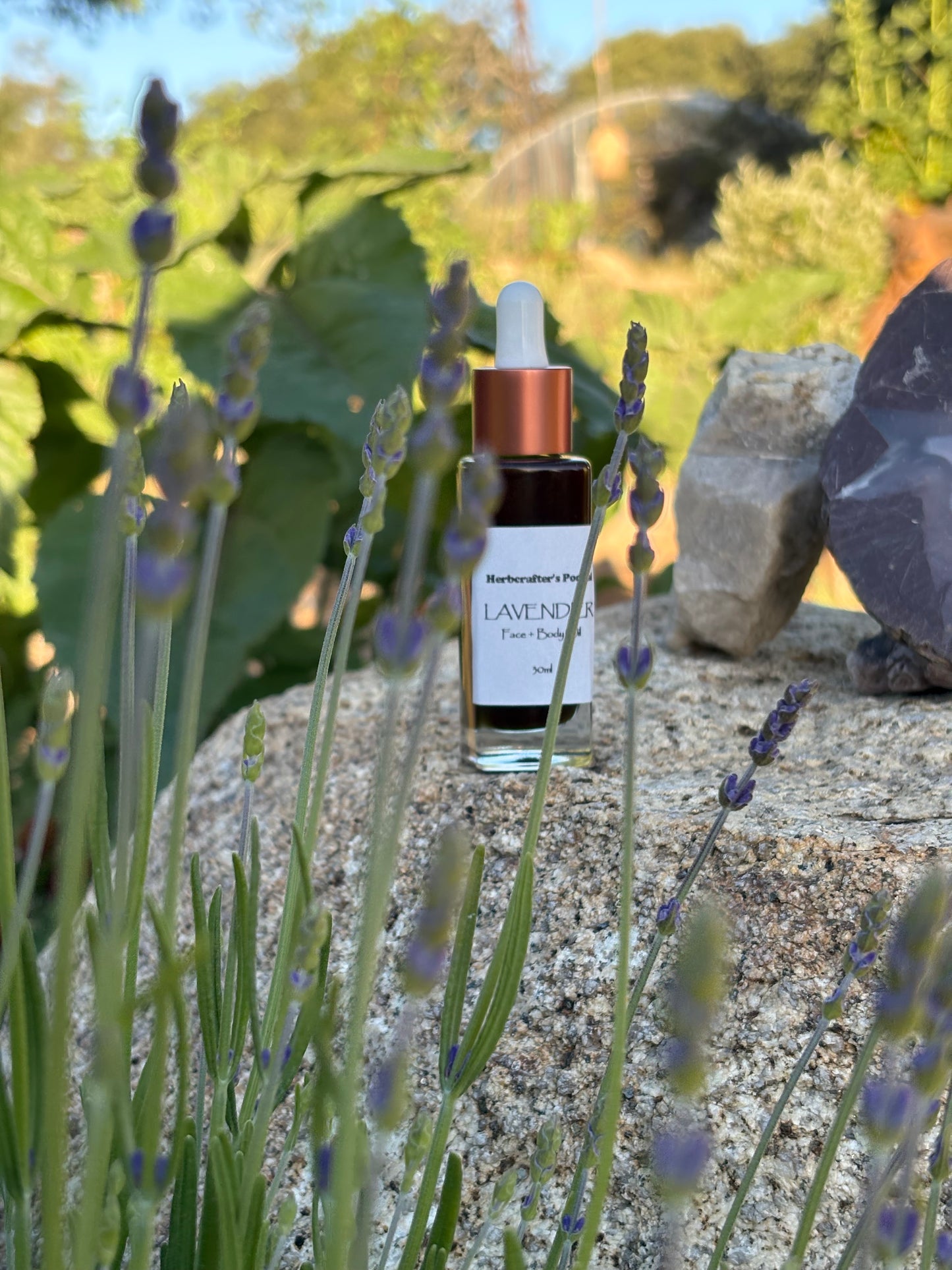 Lavender Oil