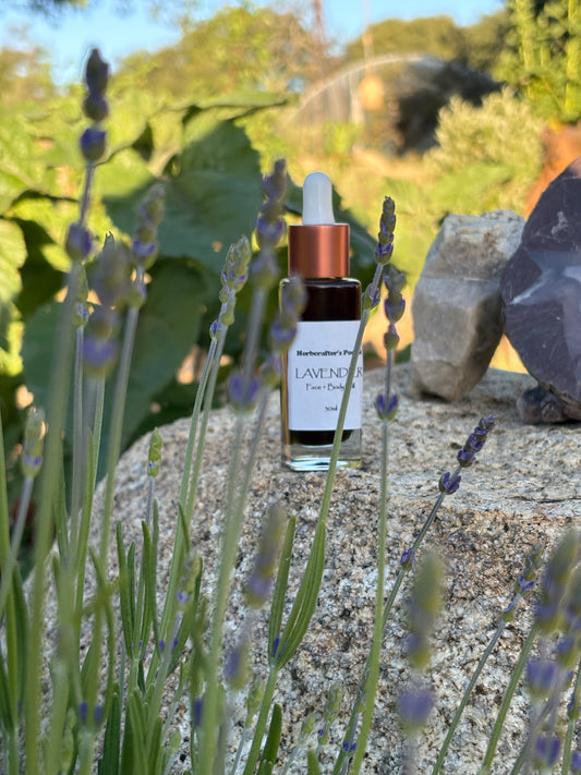 Lavender Oil