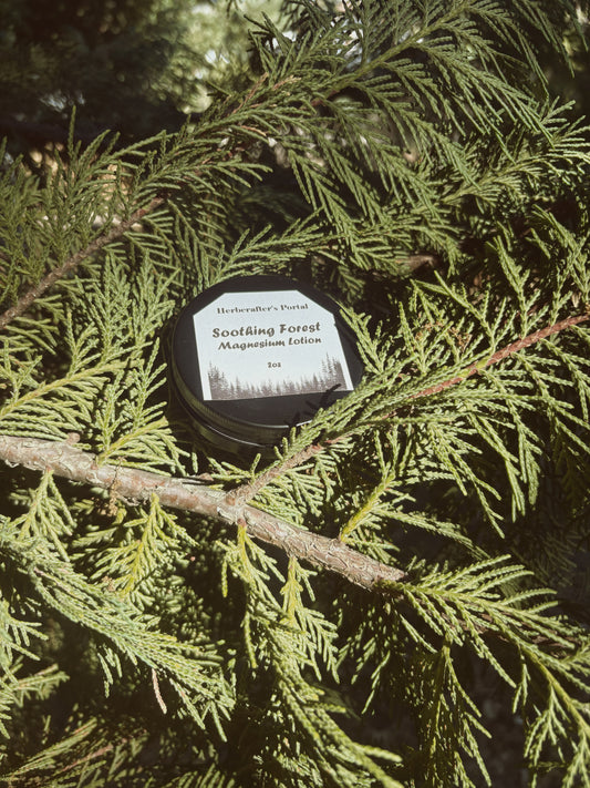 Soothing Forest Magnesium Lotion