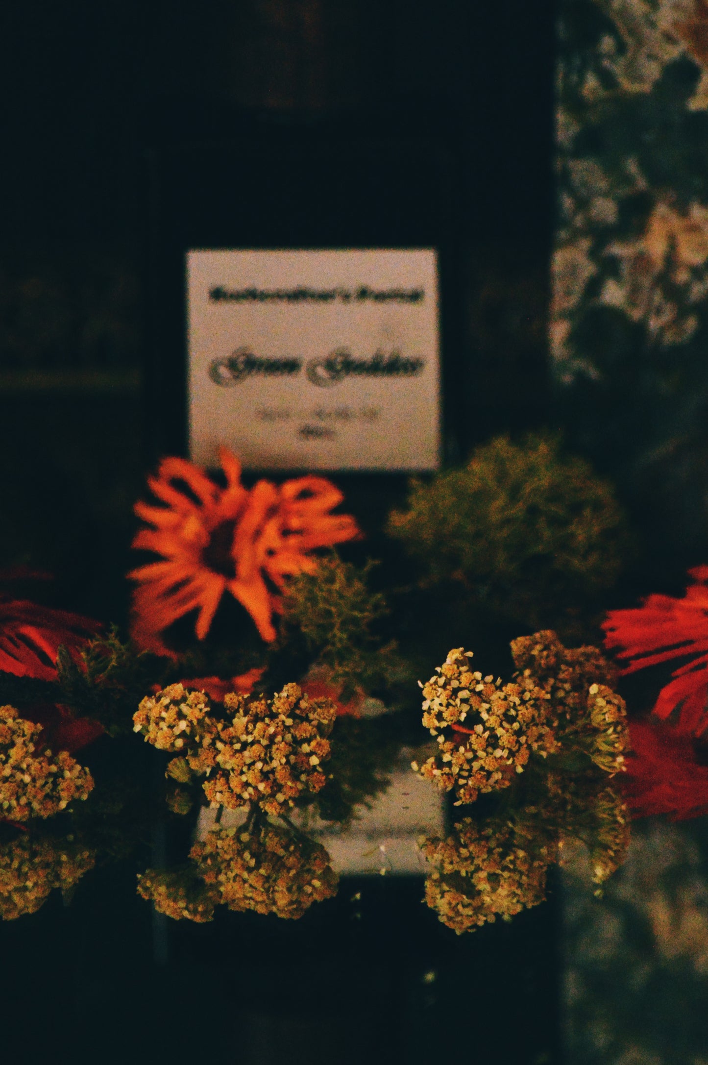 Green Goddess Face + Body Oil