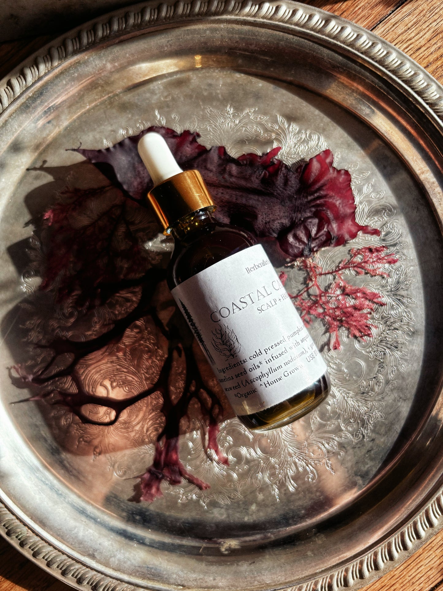 Coastal Calm Hair + Scalp Oil