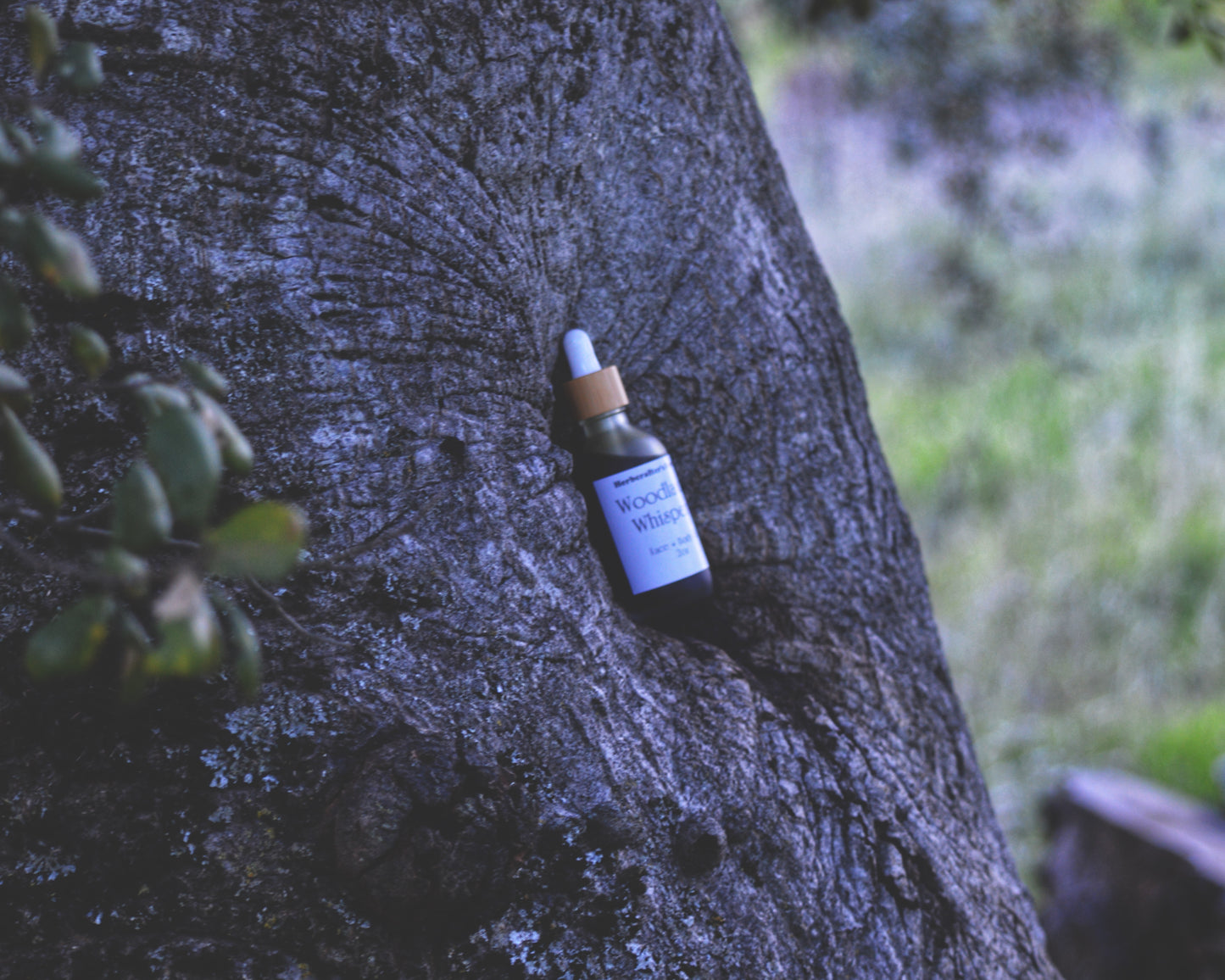 Woodland Whispers Face + Body Oil