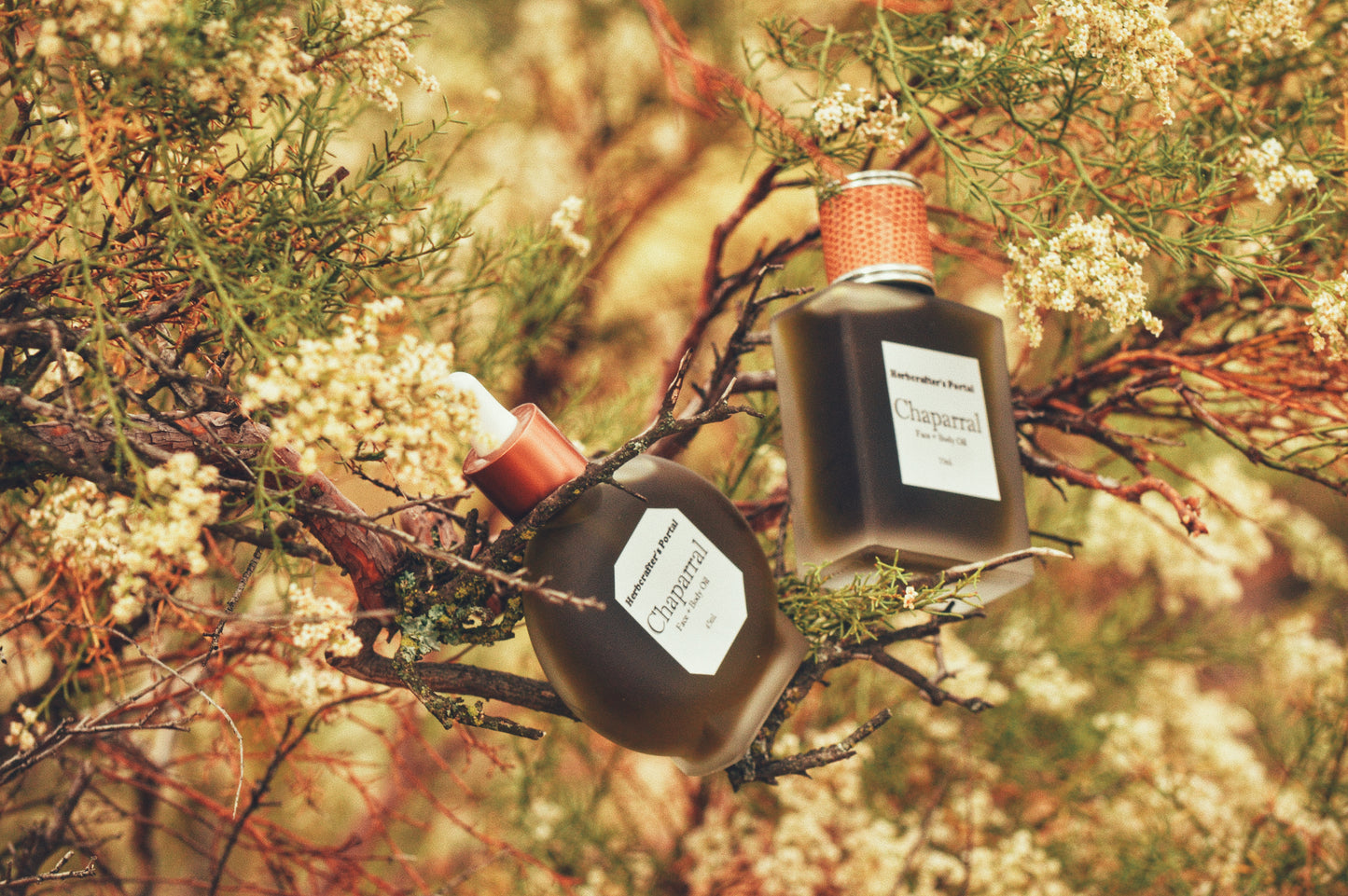 Chaparral Body Oil