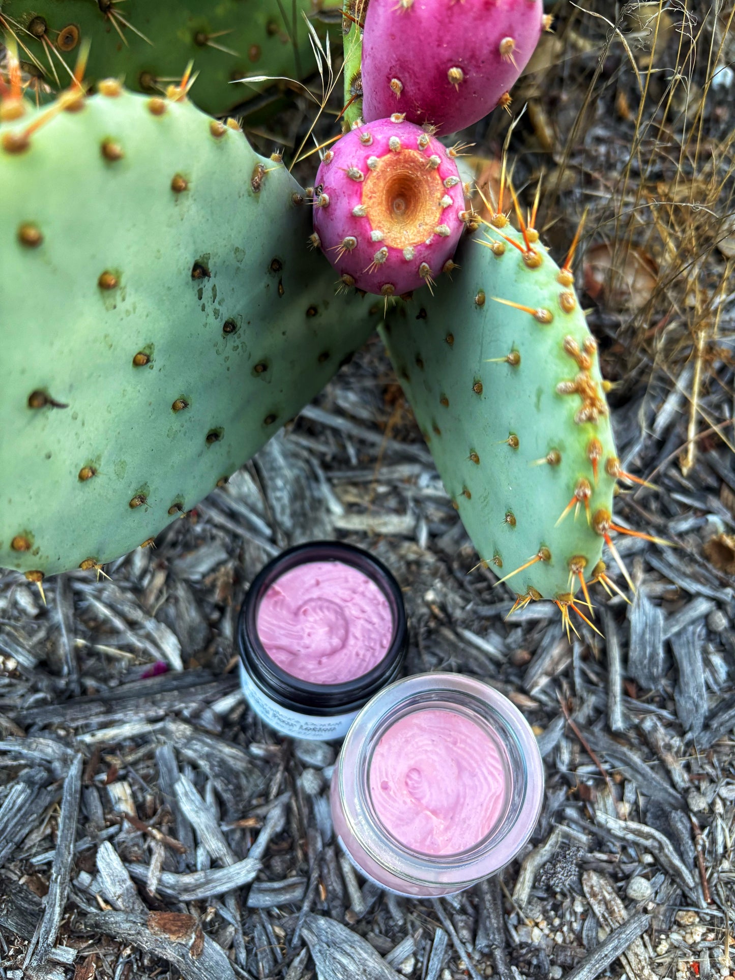 Prickly Pear Lotion
