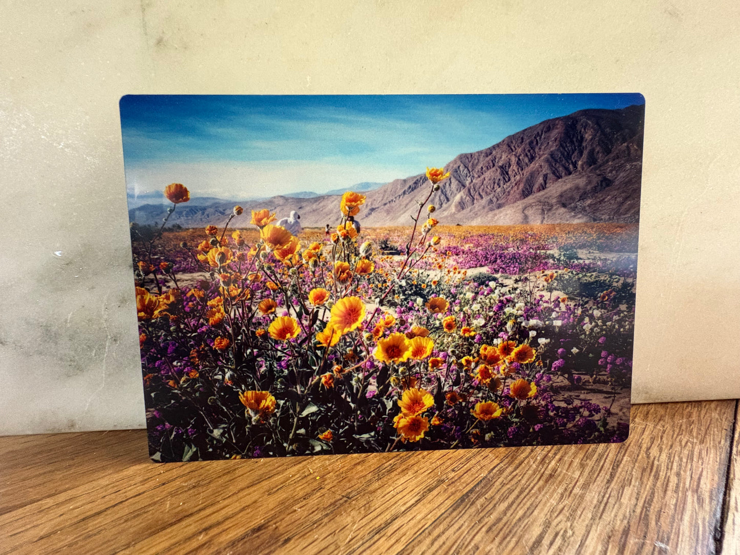 Desert Flowers 5x7 Aluminum Panel Print