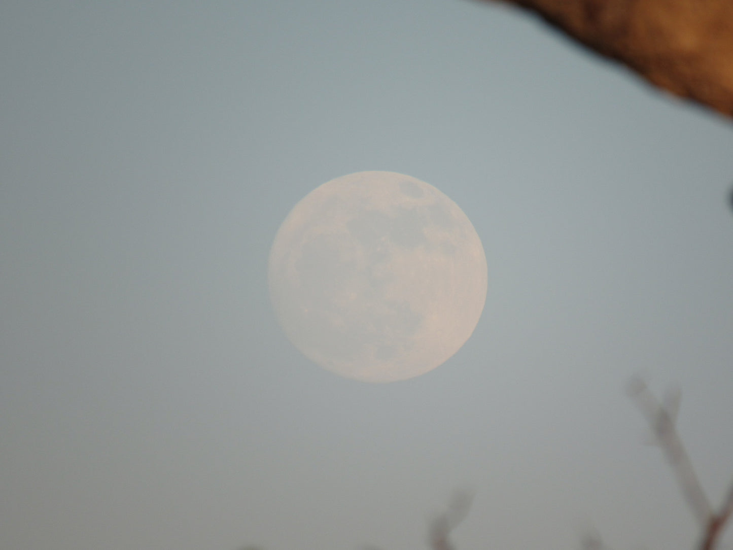 Sweet Strawberry Moon Hydrosol